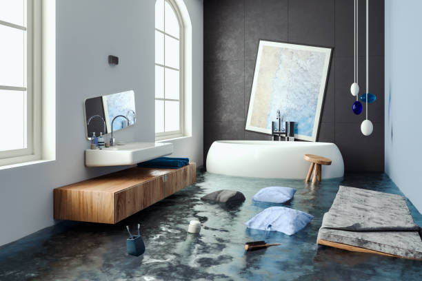 Best Local water damage restoration  in Lyons, CO