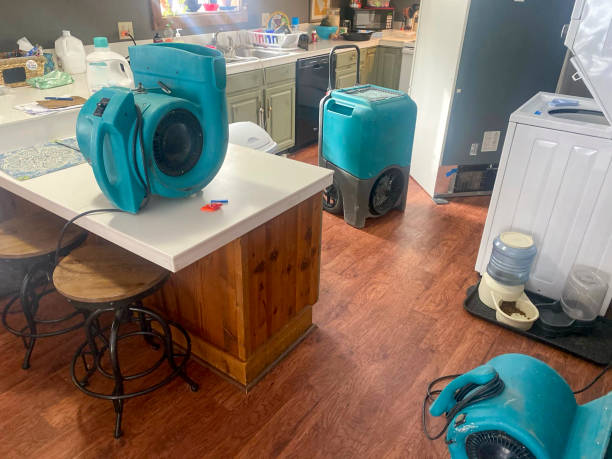 Best Water damage restoration near me  in Lyons, CO