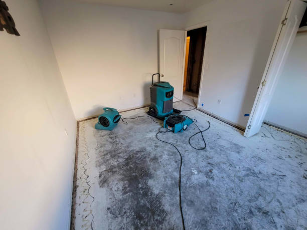 Best Carpet water damage restoration  in Lyons, CO