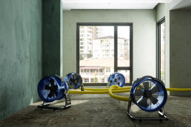 Professional Water damage restoration in Lyons, CO